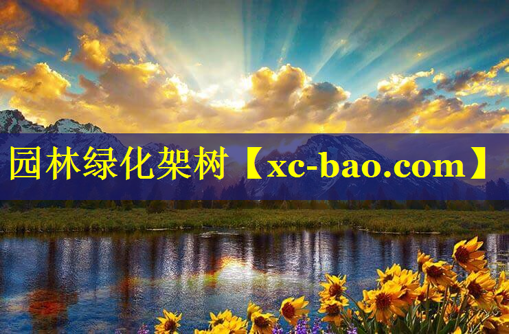园林绿化架树