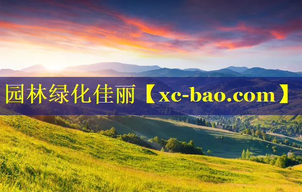 园林绿化佳丽