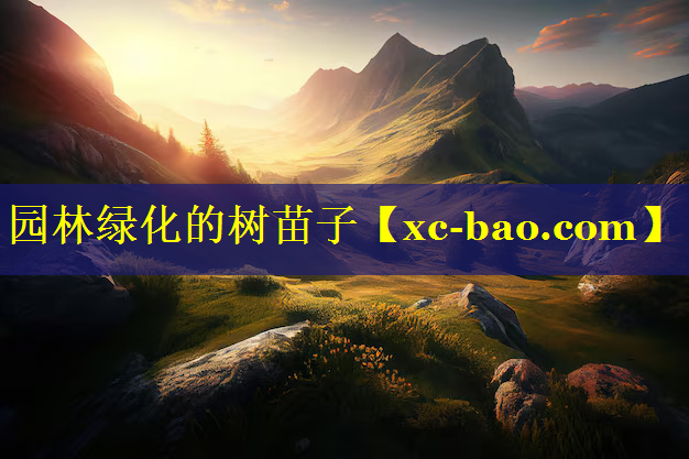 园林绿化的树苗子