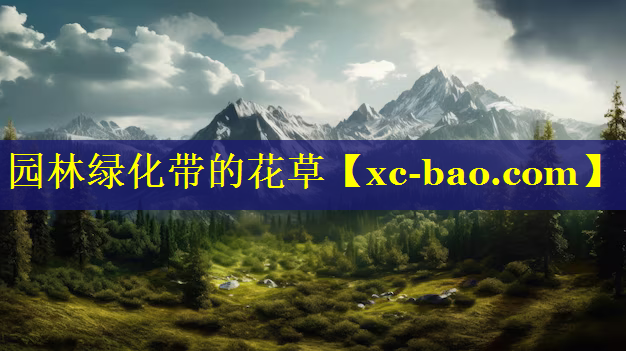 园林绿化带的花草