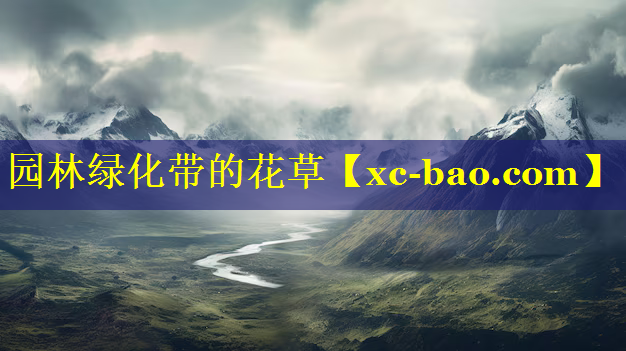 园林绿化带的花草