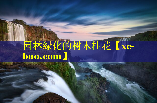 园林绿化的树木桂花