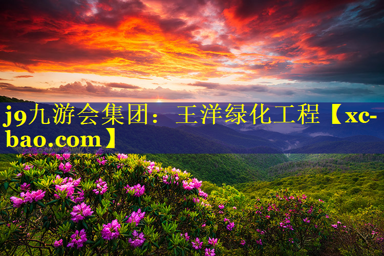 王洋绿化工程