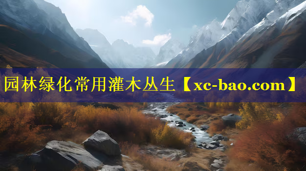 园林绿化常用灌木丛生