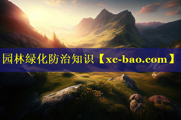 园林绿化防治知识