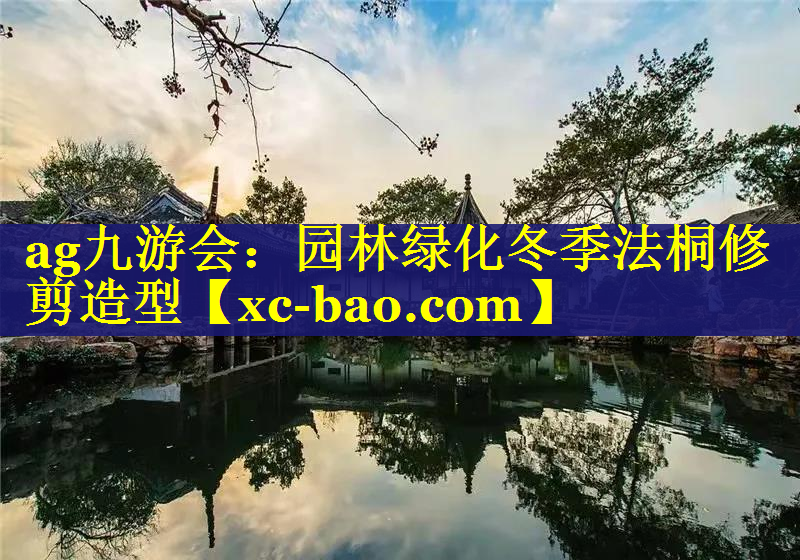 园林绿化冬季法桐修剪造型
