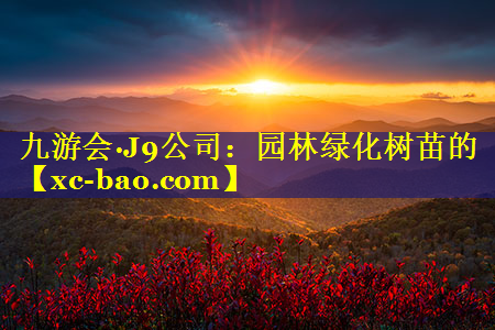 园林绿化树苗的