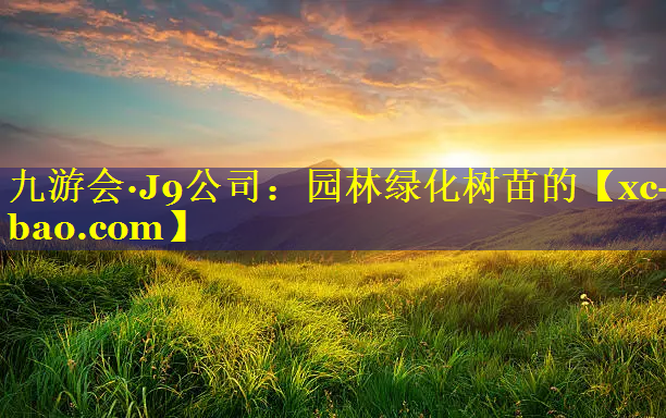 园林绿化树苗的