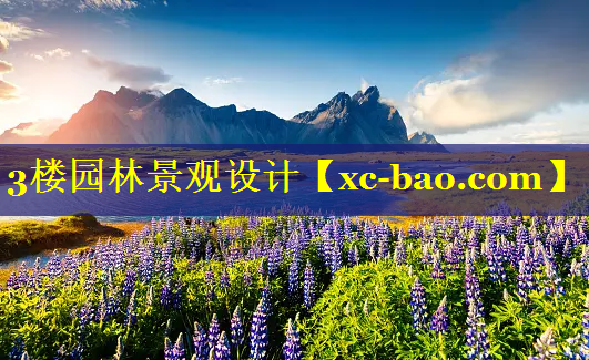 3楼园林景观设计