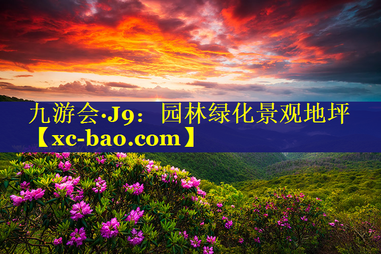 园林绿化景观地坪