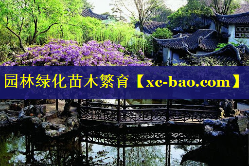 园林绿化苗木繁育