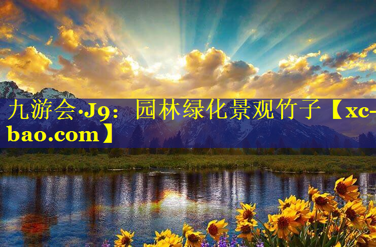 园林绿化景观竹子