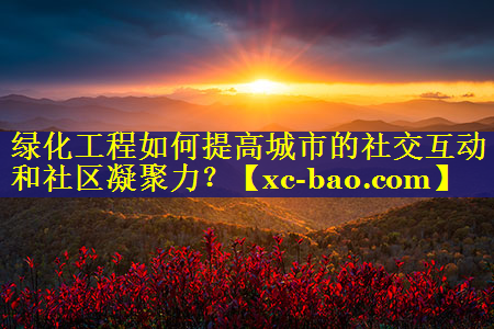 绿化工程如何提高城市的社交互动和社区凝聚力？