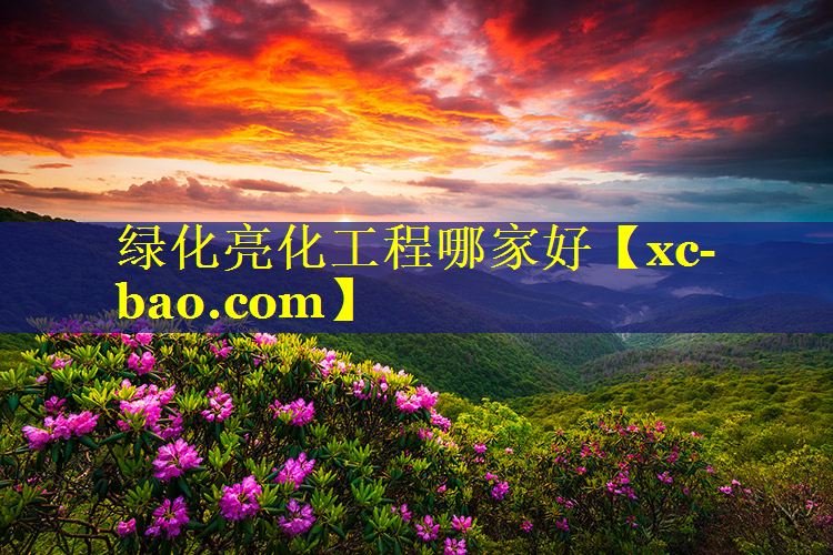 绿化亮化工程哪家好