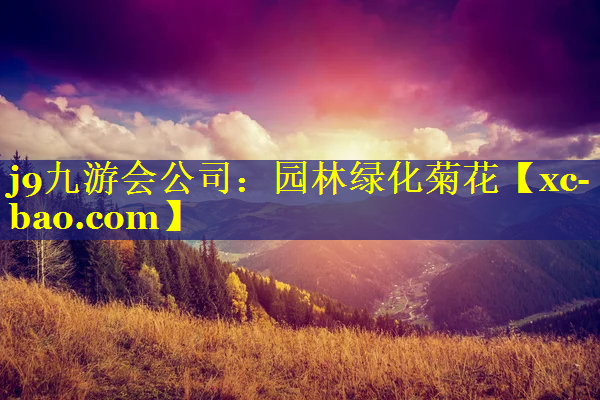 园林绿化菊花