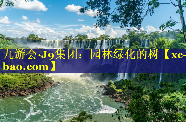 园林绿化的树