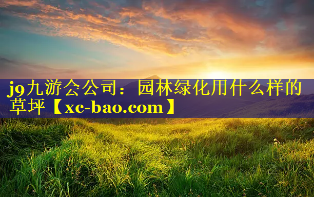 园林绿化用什么样的草坪