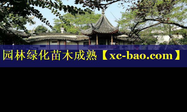园林绿化苗木成熟