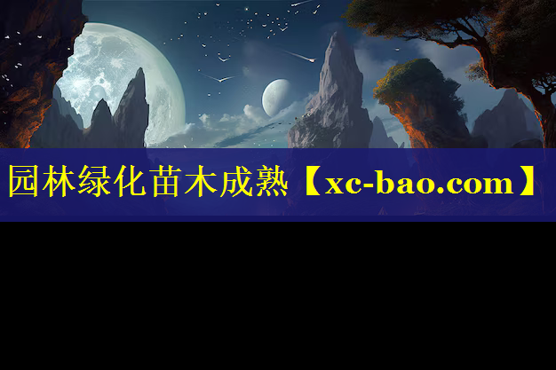 园林绿化苗木成熟
