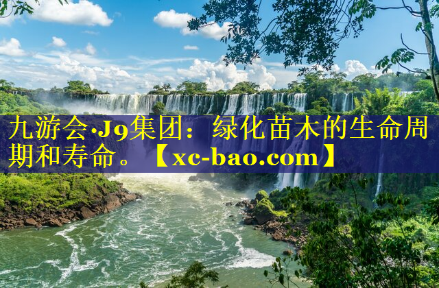 绿化苗木的生命周期和寿命。