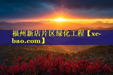 福州新店片区绿化工程