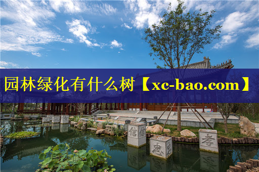 园林绿化有什么树
